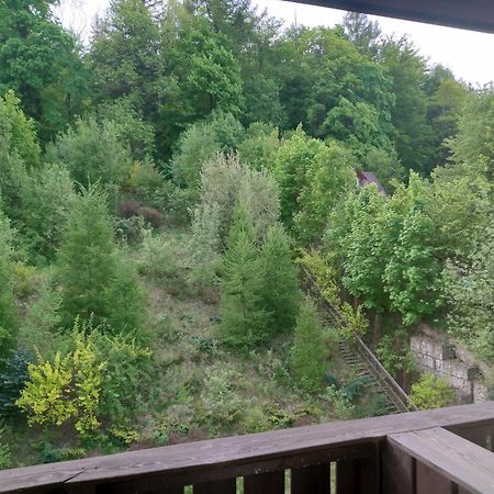 Pensjonat Trojak Lądek-Zdrój Habitación foto